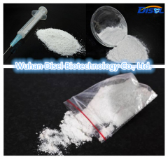 Local Anesthetic Powder Benzocaine 94-09-7 for Pain Killer