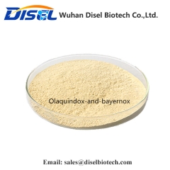 99% High Purity Veterinary Drugs CAS 23696-28-8 Olaquindox and Bayernox