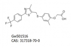 Cardarine High Purity Gw501516 317318-70-0 Anabolic Steroids Powder Weight Loss