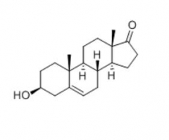 Dehydroisoandrosterone DHEA CAS: 53-43-0