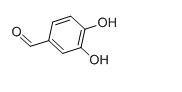 High Quality 98% Purity Protocatechualdehyde/ 3,4-Dihydroxybenzaldehyde CAS:139-85-5