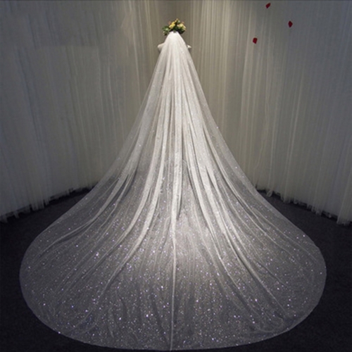 Unicra Cathedral 1 Tier Bride Wedding Veil  Long Glitter Bridal Tulle Veil with Comb Drop Veil Cut Edge for Bride