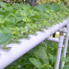 Hydroponic PVC Pipe Model:Round Pipe 80mm,hydroponic grow tubes,pvc pipe hydroponics,hydroponic tubing,pvc hydroponics tower,vertical hydroponics pvc,