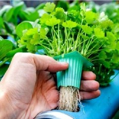 hydroponic grow tubes- HUSU design new system for you