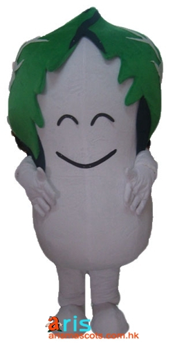 Adult Fancy Cabbage Mascot suit For Party  Carnival Outfits Deguisement Mascotte Custom Mascots Arismascots Professional Team Mascot Maker Company