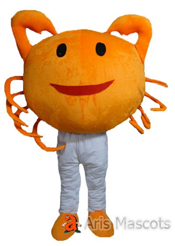 Full Body Mascot costume Orange crab suit, giant and smiling