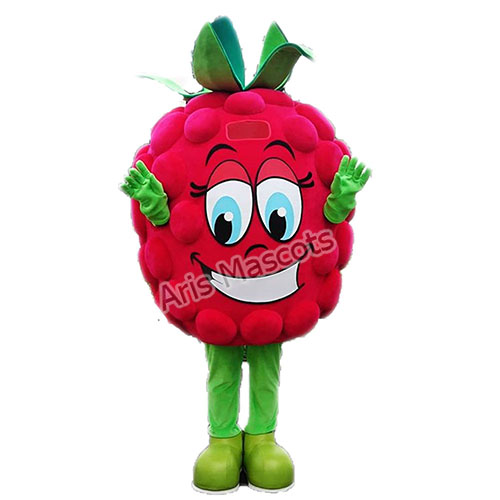 Cosplay Strawberry Costume Adult Size Full Mascot-Fruit Mascots Made