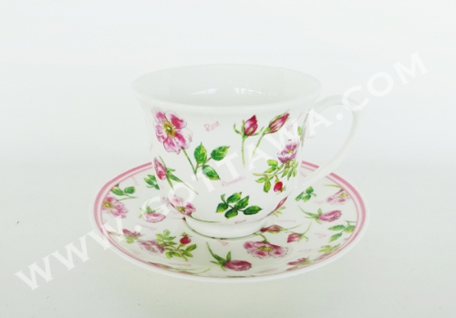 210cc nw bone china cup and saucer, bulk packing
