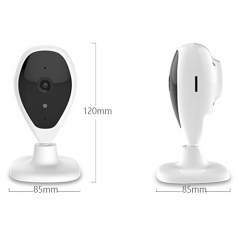 Face Recognition Camera, Wireless, 1080P
