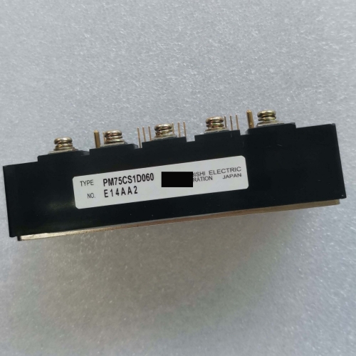 IGBT Module PM75CS1D06