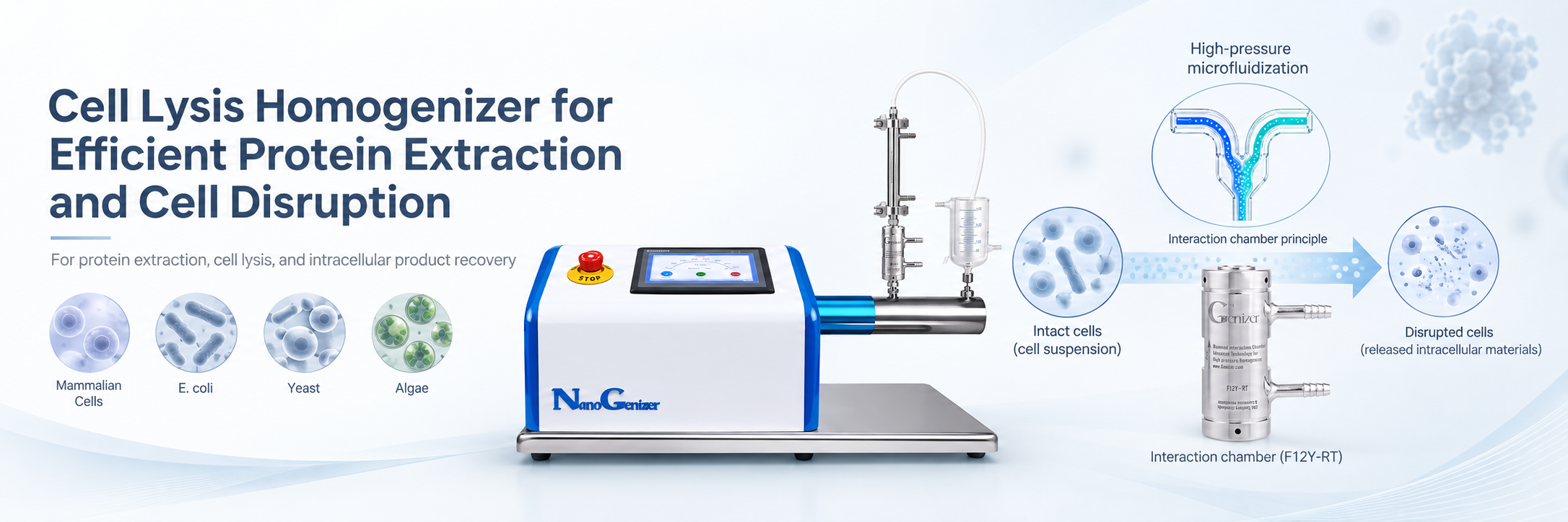 Cell Lysis Homogenizer for Efficient Protein Extraction and Cell Disruption