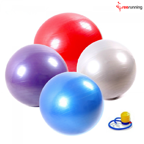 Professional Exercise Equipment Yoga Swiss Ball