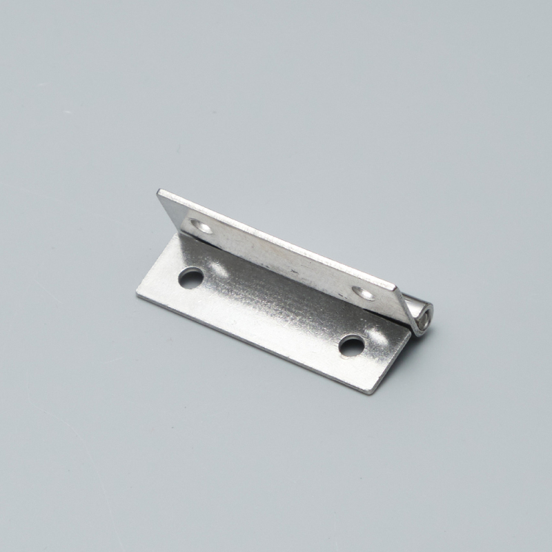 Stainless Steel Door Spring Loaded Hinges