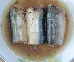 Canned Mackerel in Oil