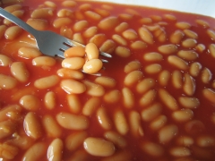 Canned Baked Beans in Tomato sauce