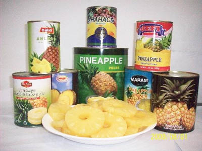 Canned Pineapple slice in Syrup