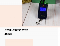 Portable mini Hang Luggage scale 40kgs with hook,blue light