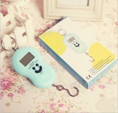 Portable Hang Luggage scale 50kgs with hook,blue light