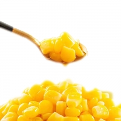 Canned sweet corn kernel