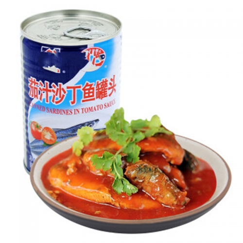 Canned sardines fish