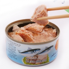 Canned Tuna fish