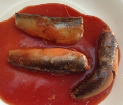 Canned mackerel in tomato sauce/in brine/in oil