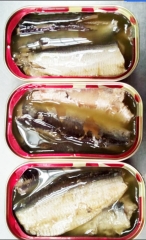 Canned sardines fish