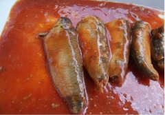 Canned sardines in tomato sauce/in oil/in brine