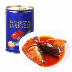 Canned sardines fish