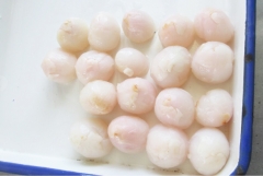 800g Canned Lychee availabel in June