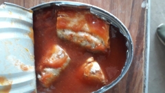 canned sardine in tomato sauce oval cans 425g