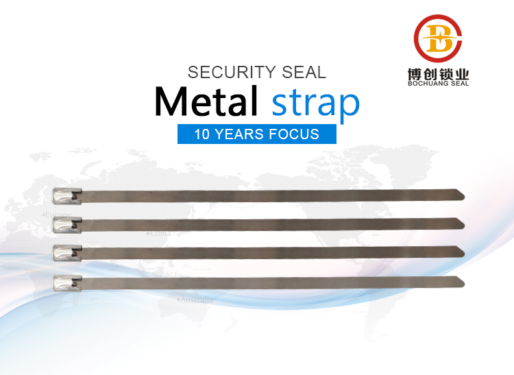 Metal strap seal BC-S105