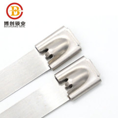 BCST002  Attaches de câble en acier inoxydable Attache de câble en acier inoxydable enduit de PVC 316