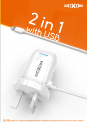 2 IN 1 Design Fast Wall Chargers With Lightning USB Cable