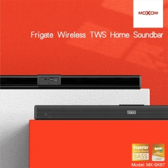 Frigate Wireless TWS Home Soundbar