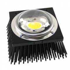 RX613-125-A4 Forging Heatsink for COB grow lights 125[7.09]x70[2.755] 95 Watts