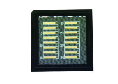 Unmounted Diode Laser Chips