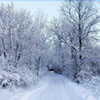 Beautiful Winter Girl