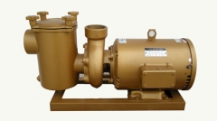 big power swimming pool brass pump