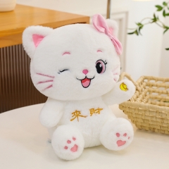 30cm-60cm Sanrio Hello Kitty Cartoon Anime Plush Toy Doll
