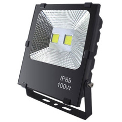 100W COB Led Flood Light