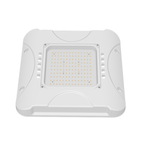 100W Led Canopy Light