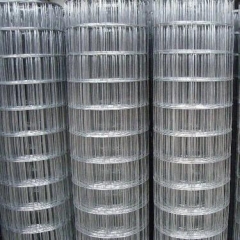 Square Mesh Welded Wire Mesh Steel Wire Netting Welded Mesh Roll