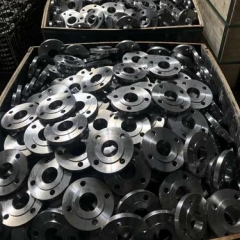 Q235 Q195 Carbon Welding Neck Flange Forged Steel Flange