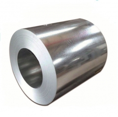 Prepainted Galvanized Steel Coil / PPGI