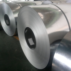 Prepainted Galvanized Steel Coil / PPGI