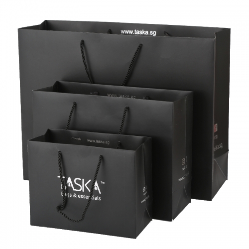 march expo Printed Large / Medium/Small Luxury bags&essential paper gift bag with twist handle