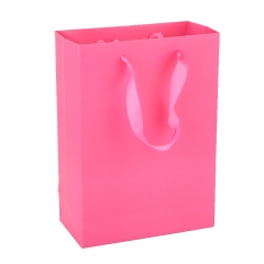 Christmas holiday decorative paper bags