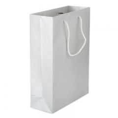 White plain paper bag