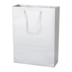 White plain paper bag